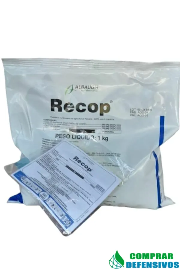 ekletus-pet-shop-2025-05-02t042727-143-13ac8f3a2615c3f16517461720433975-1024-1024